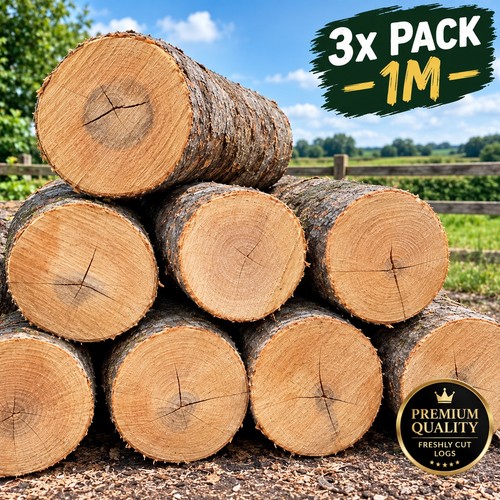 Fresh oak mushroom logs - fresh,