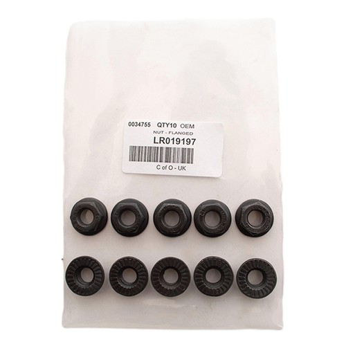 Exhaust manifold nuts - manifold,