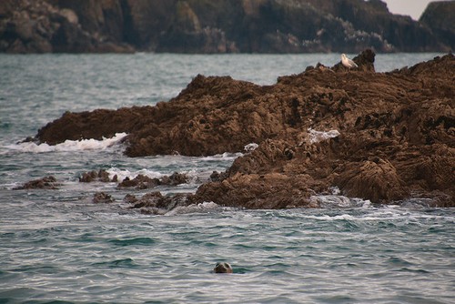Photo south hams - south,