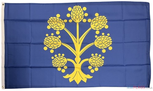 Appleby flag 5x3 - 5ft, 75d