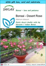 SAFLAX Gift Set - Bonsai -