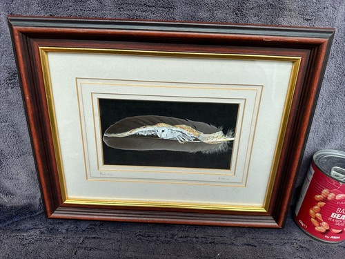Framed 2010 - condn),