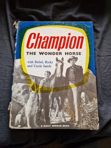 Champion the wonder horse - champion,