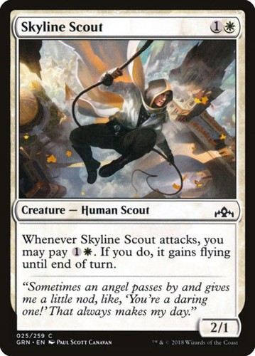 Skyline scout - scout, (25)