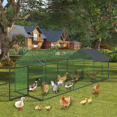 Large chicken coop - run, in