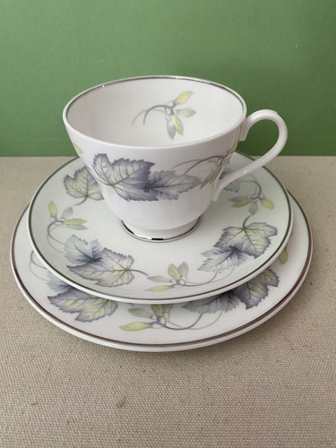 Shelley sycamore trio - tea, cup
