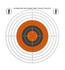 Bisley Grade 2 Paper Card Targets 14cm Pack of 100 Air Gun Shooting SINGLE