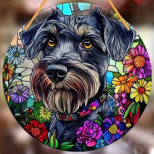 Schnauzer grey dog lover - schnauzer, pet