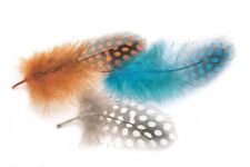 Northern Game Guinea Fowl Feathers for fly tying - VARIOUS COLOURS