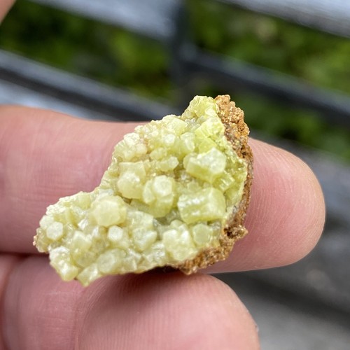 Pyromorphite from shropshire - pyromorphite,