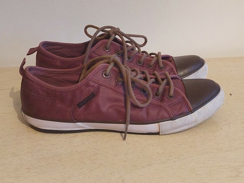 Animal long island - animal, trainers