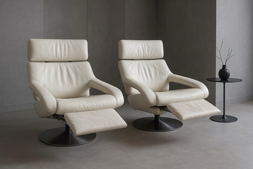 Pair sede designer ds - of,