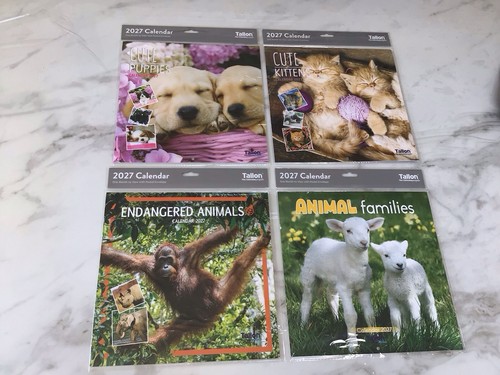 2027 calendar kittens - 2027,