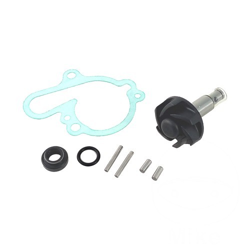 Water pump repair kit - pump,