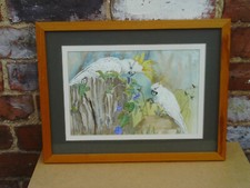 Vintage C.1980s Framed Watercolour Painting of Sulphur Crested Cockatoo Birds