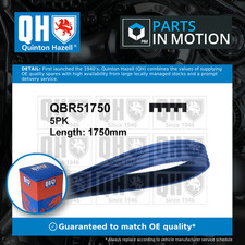 5 Rib Multi V Drive Belt fits