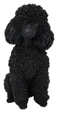 Vivid Arts Black Poodle Dog -