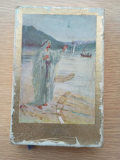 The Holy Bible Illustrated in