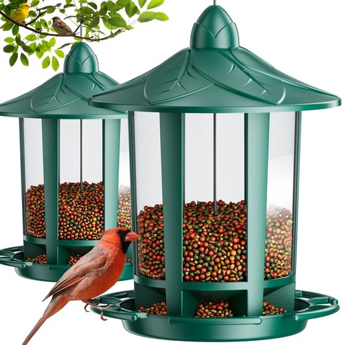 Pack bird feeders - bird,