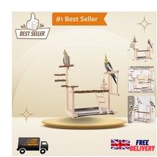 Handcrafted Bird Play Gym for