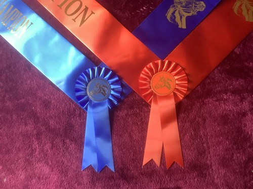 Champion and reserve - reserve,