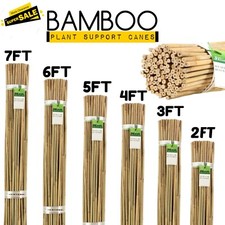 Bamboo Garden Canes Heavy Duty