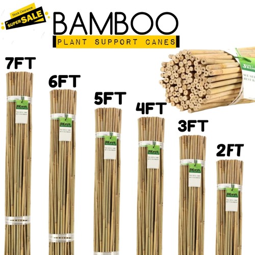 Bamboo garden canes - bamboo, heavy