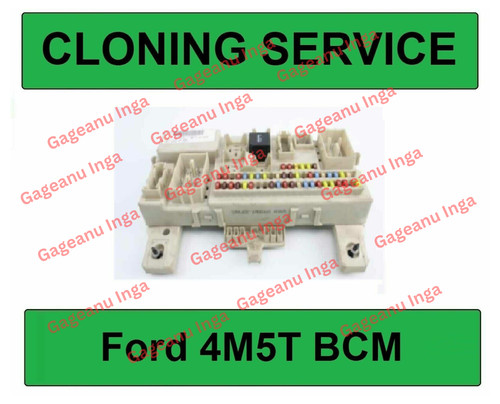 Cloning service for - cloning,