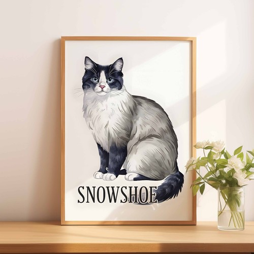Snowshoe cat - a4, a5