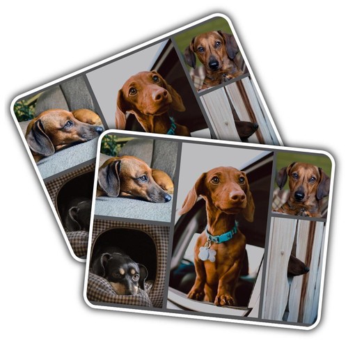 Vinyl sticker cute - 2x,