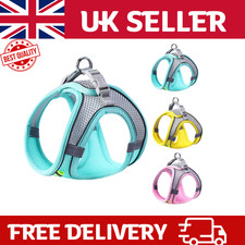 Dog Harness and Leash Set