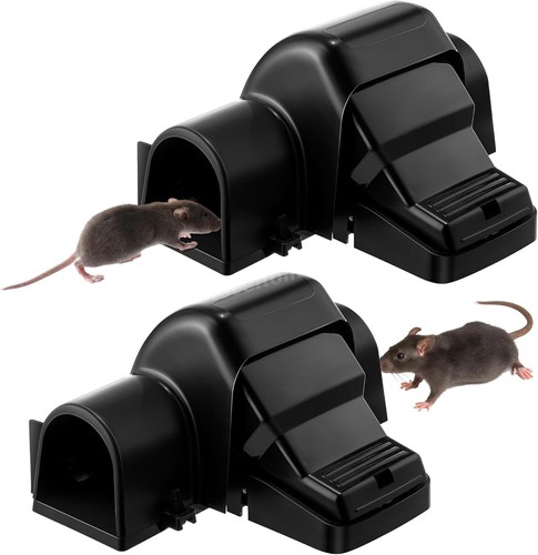 Pack large rat traps heavy - pack,