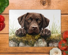 Labrador Peeking Glass
