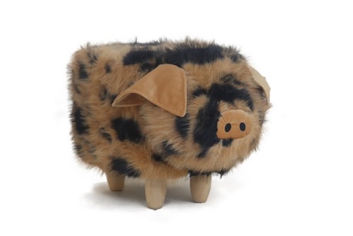 Plato the pig - plato,