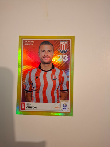 Ben gibson stoke - gibson, gold