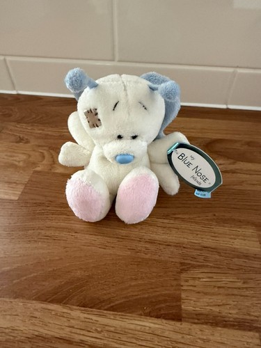 Blue nose friends breeze - my,