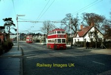 Bus Photo - Belfast