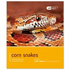 Corn Snakes - Pet Expert