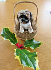 The Leonardo Collection Shih Tzu Dog Figurine 'Mischief' 2009 Vintage Figurine