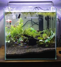 Ciano Cube Aquarium 20 litre