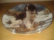 'Steadfast Gaze' The Springer