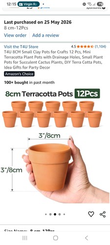 Small terracotta clay plant - 10,