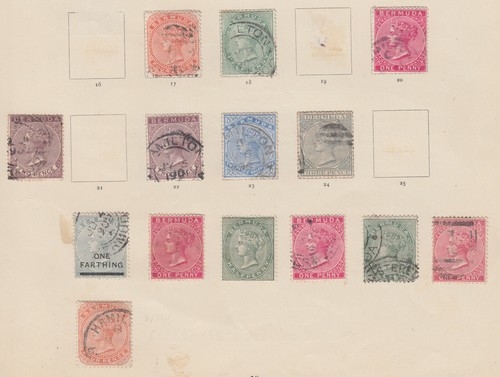 Bermuda unchecked mixed - bermuda,