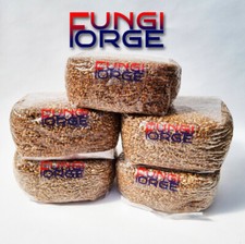 10Kg Sterilised Rye Grain for Mushroom Spawn (10 x 1Kg bags)