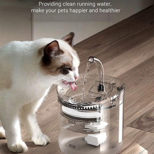 Cat water fountain filters - water,