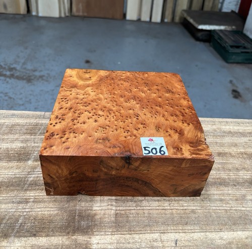 Thuya burr 8 x 3 - 1,