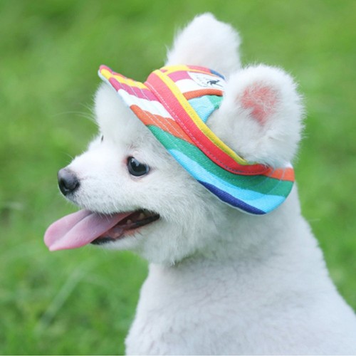 Dog hat ear holes - hat, for