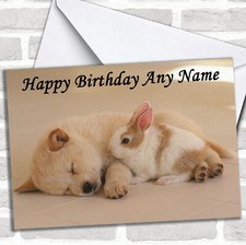 Dog & Rabbit Sleeping