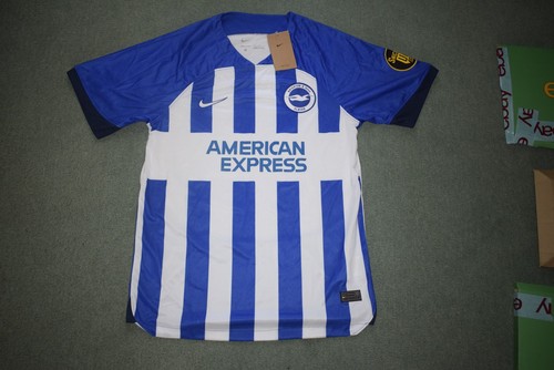 Brighton hove albion - brighton,