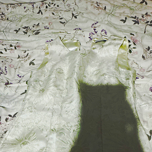 Gina bacconi white floral - gina,